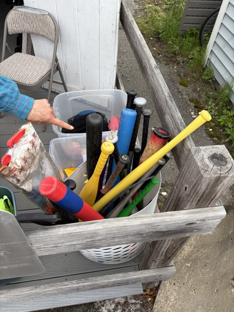 A bucket of bats -- some plastic, some metal really want new owners.