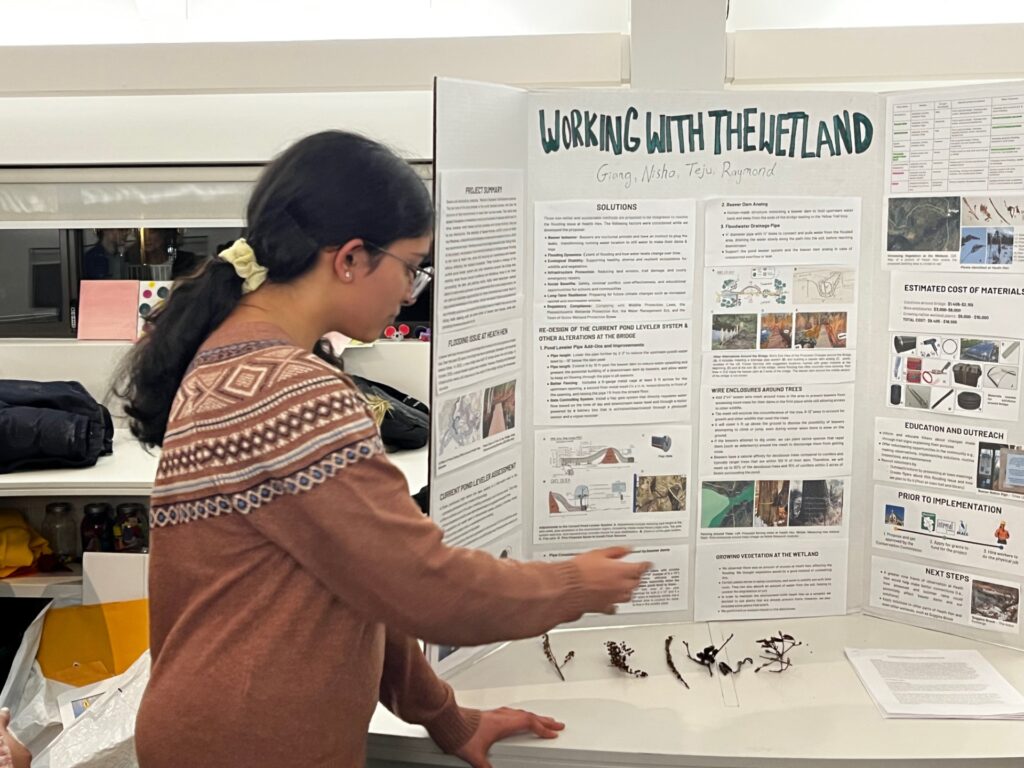 High school aged girl points to a detail on a trifold display entitled "Working with the Wetland." Foliage samples of several types lie on the table in front of the display.