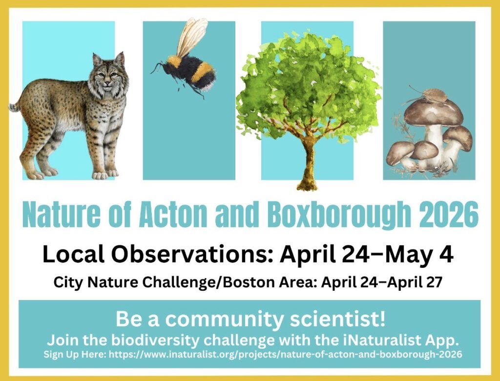 A poster for the annual BioBlitz. A chance for people to note the number of species in our town. You can sign up at https://www.inaturalist.org/projects.