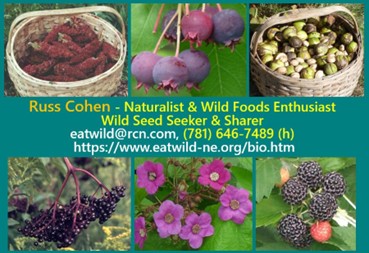 Flyer for Russ Cohen Naturalist & Wild Foods Enthusiast, with six colorful photographs of flowers, berries and fruits