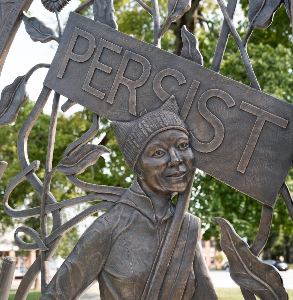 A close-up from the gate: A woman wears a knitted pussy hat and carries a sign that says "Persist."