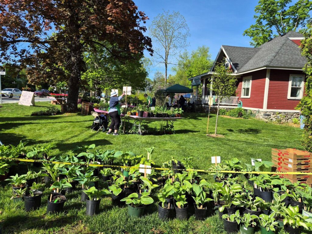 In the foregroumd, pots of plants on the ground and a strip of caution tape to keep people out. In the background, A large table with many plants and people working at the tables. The Red House is on the right.