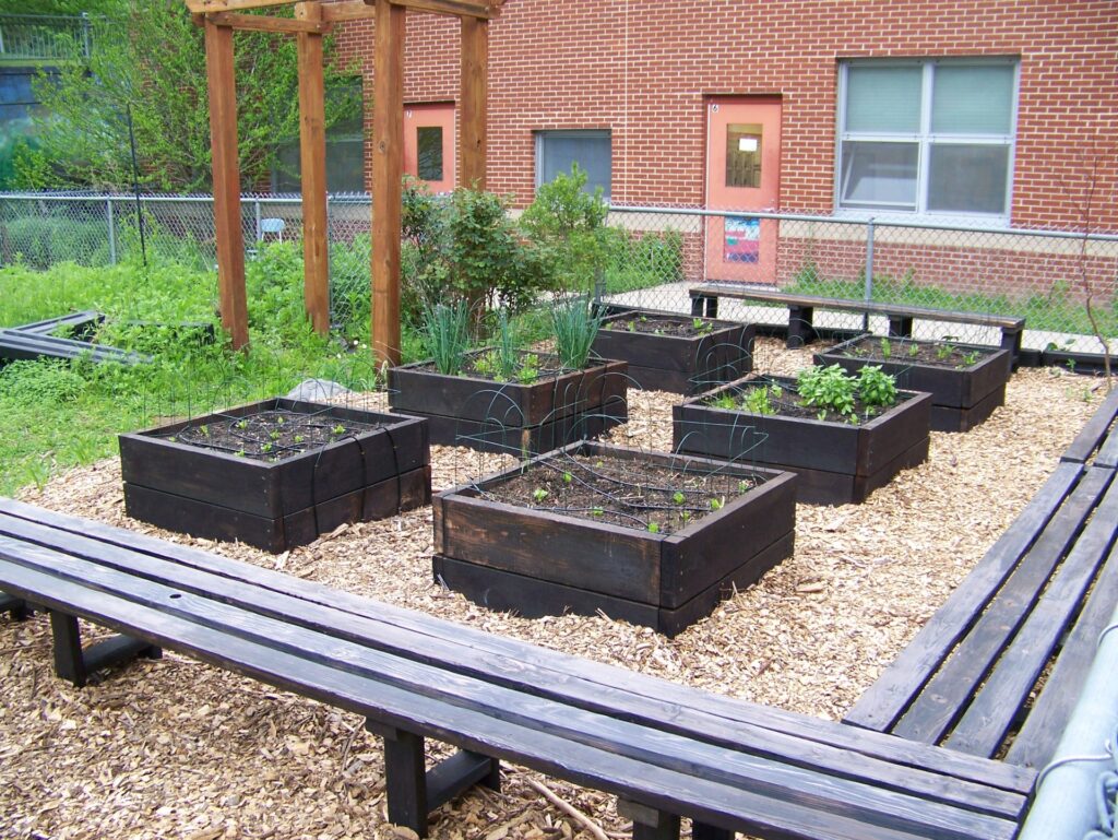 A garden with 6 rased beds surrounded by benches. the beds all have green things growing.